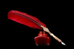 Writing Feather