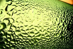 Green drops of water - light from backside. Macro