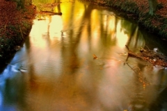 autumn lake