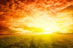 field and sunset